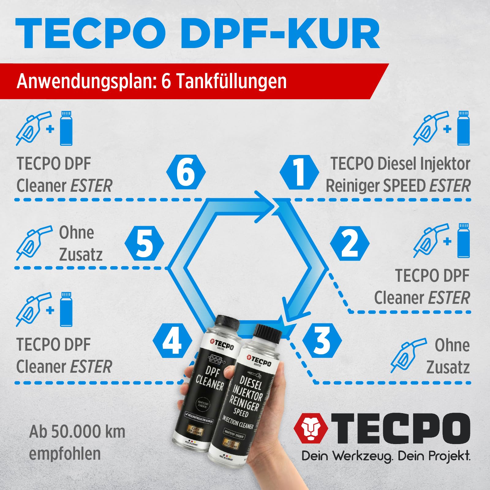 TECPO 12x Partikelfilter Reiniger Diesel DPF, 300ml DPF Diesel Reiniger Additiv Zusatz Kraftstoffzusatz Dieselpartikelfilter Reiniger Dieselkraftstoffadditiv (12er-Pack)
