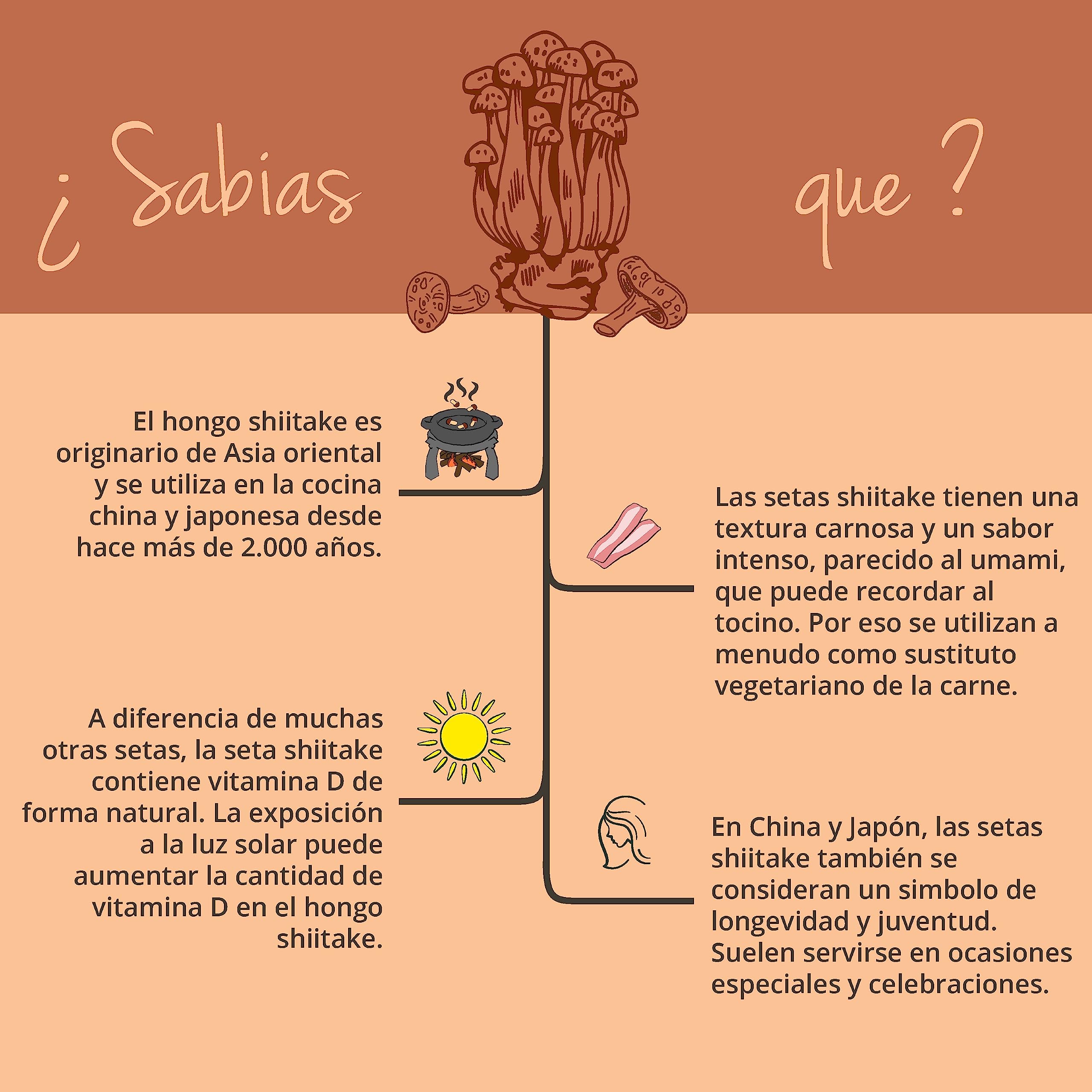 Shiitake Vegavero | 11150 mg | 40% Polisacáridos + 30% Betaglucanos | SIN ADDITIVOS | Sistema Inmunitario + Estrés + Ansiedad | Ayurveda | 120 Cápsulas | Vegano