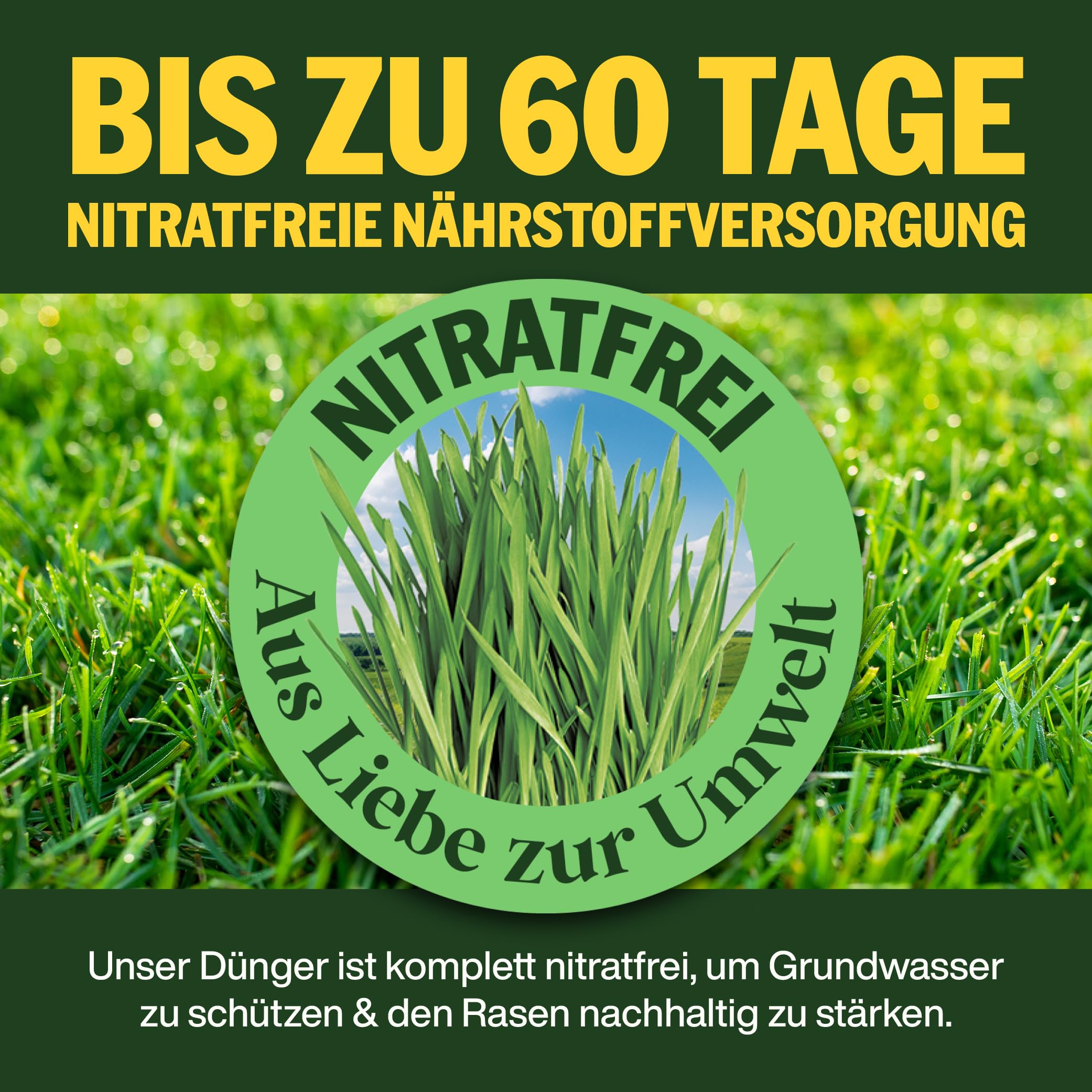 SUPERGREEN Universal-Rasendünger Langzeit bis 60 Tage | 20kg für 1000m² | NPK 12-10-15 für dichten, sattgrünen, gesunden Rasen | Nitratfrei & staubfreies Granulat (2-5 mm) | Ganzjahresdünger