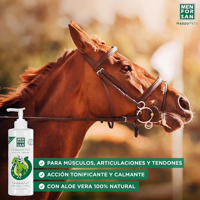Foto 2 de 5 de MENFORSAN Linimento en Gel para Caballos 500 ml, Blanco