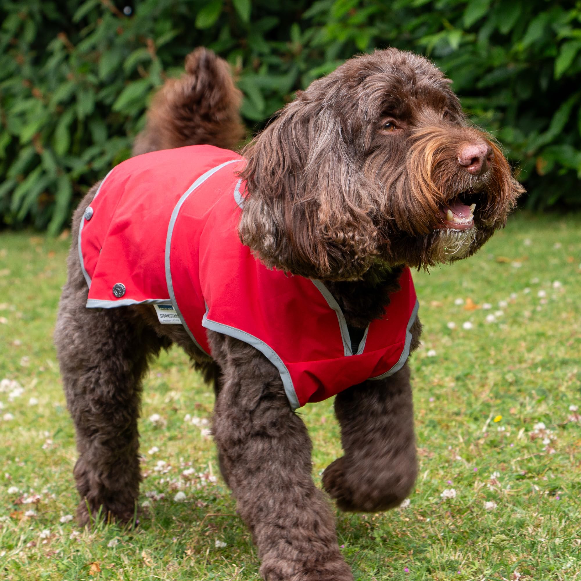 Ancol Stormguard Soft Shell Dog Coat in Bordeaux, Waterproof Pet Rain Jacket with Zipped Harness Hole - Image 4