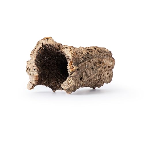 Galápagos (05505) Natural Cork Bark for Reptiles – Ideal for