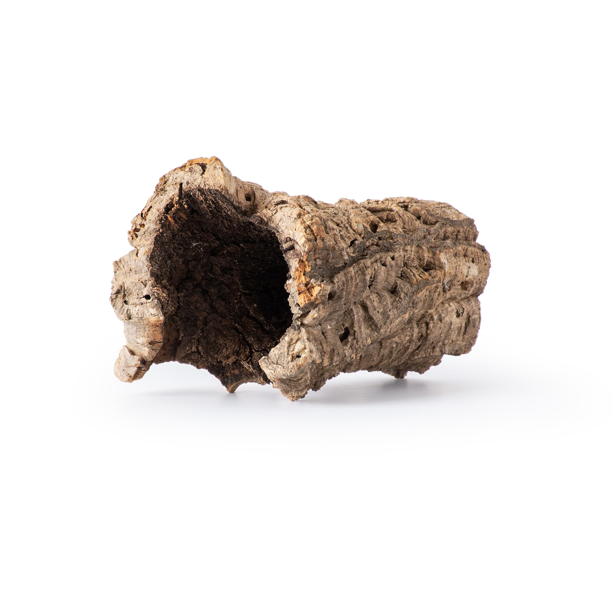 Galapagos Galápagos - habitat decor | Mubboo