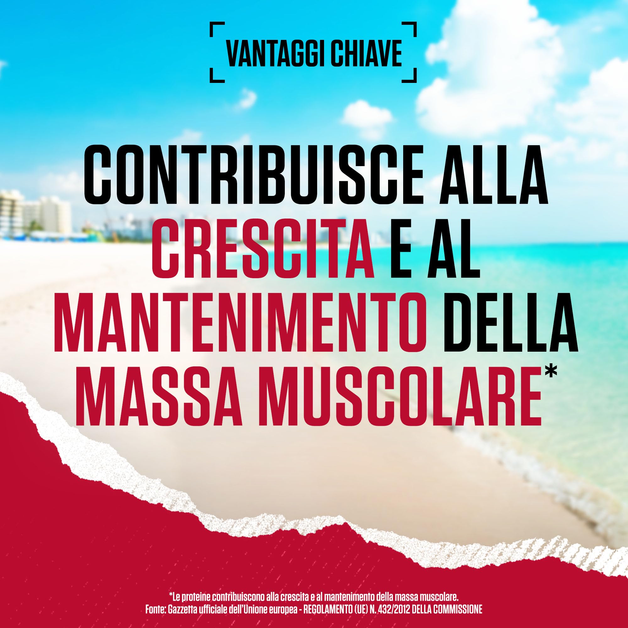 BSN True Mass 1200, Mass Gainer in Polvere con Proteine Whey Isolate e Carboidrati, Aumento di Peso, Crescita Muscolare e Recupero Post-Allenamento, Gusto Frullato al Cioccolato, 15 Porzioni, 4.8 kg