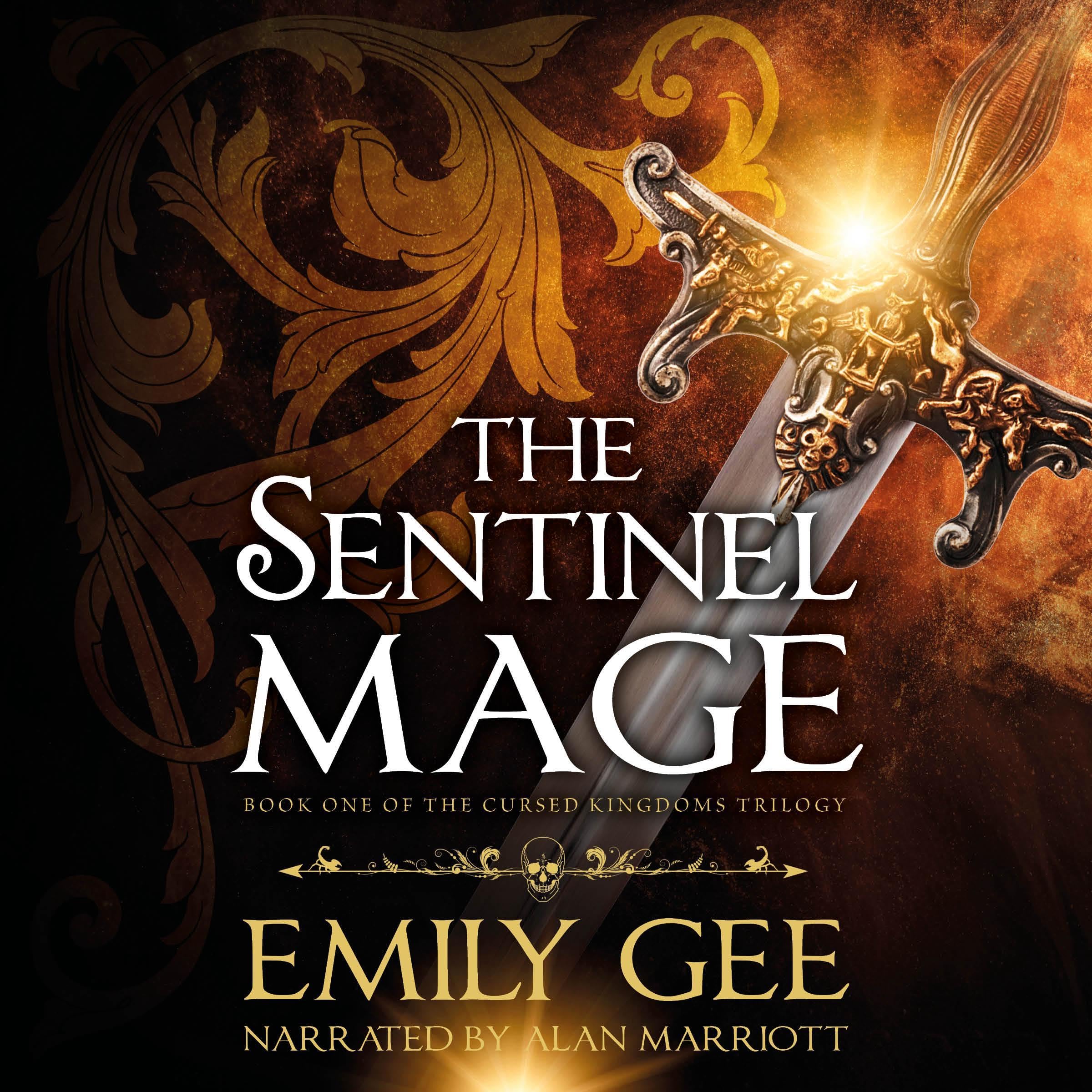 Cover art for The Sentinel Mage