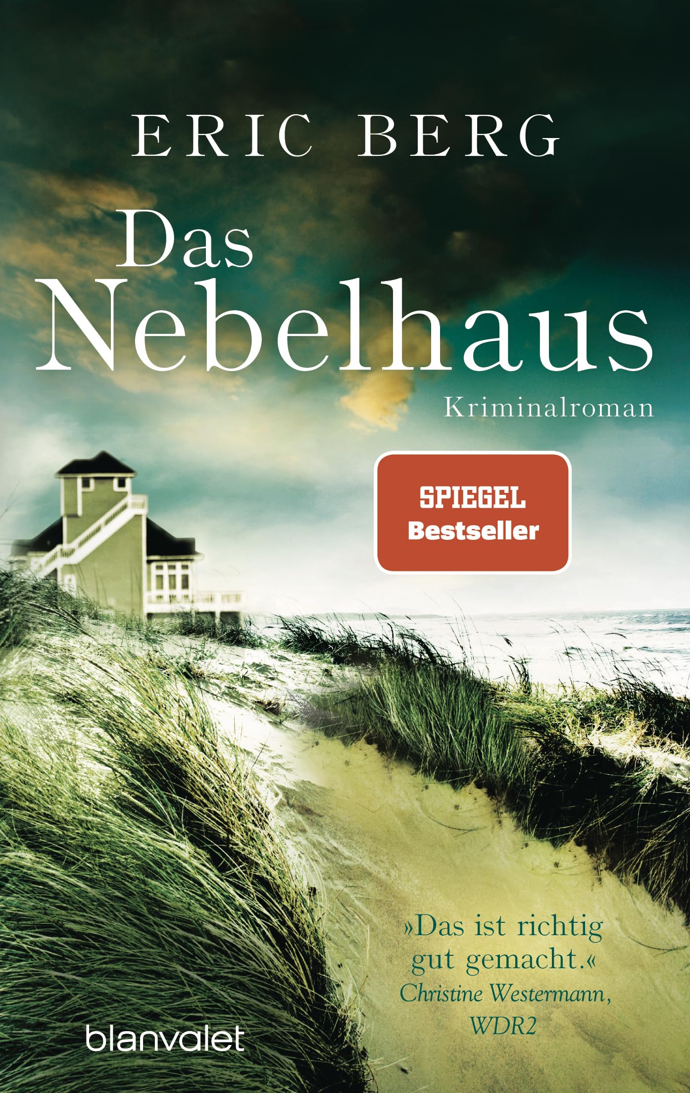 Das Nebelhaus: Kriminalroman (Blanvalet Taschenbücher, 38403)