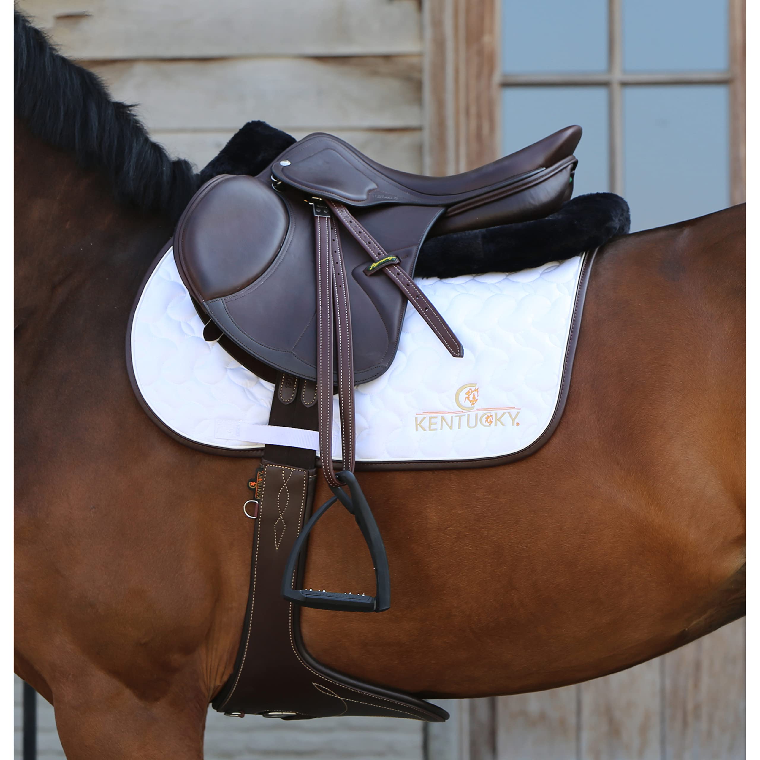 Kentucky Ammortizzatore anatomico per Cavalli Absorb