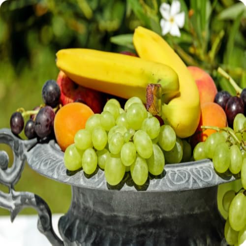 Vitamins Guide