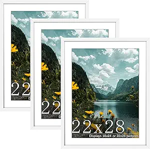 Picrit 22x28 Frame 3 Pack, White Poster Frame, Display Poster 18 x 24 with Mat or 22 x 28 without Mat for Horizontal or Vertical Wall Mounting