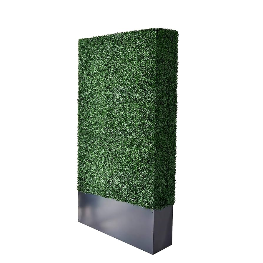 GIRUVI 「Grow on the Wall」Gracilius GIRUVI 「Grow on the Wall