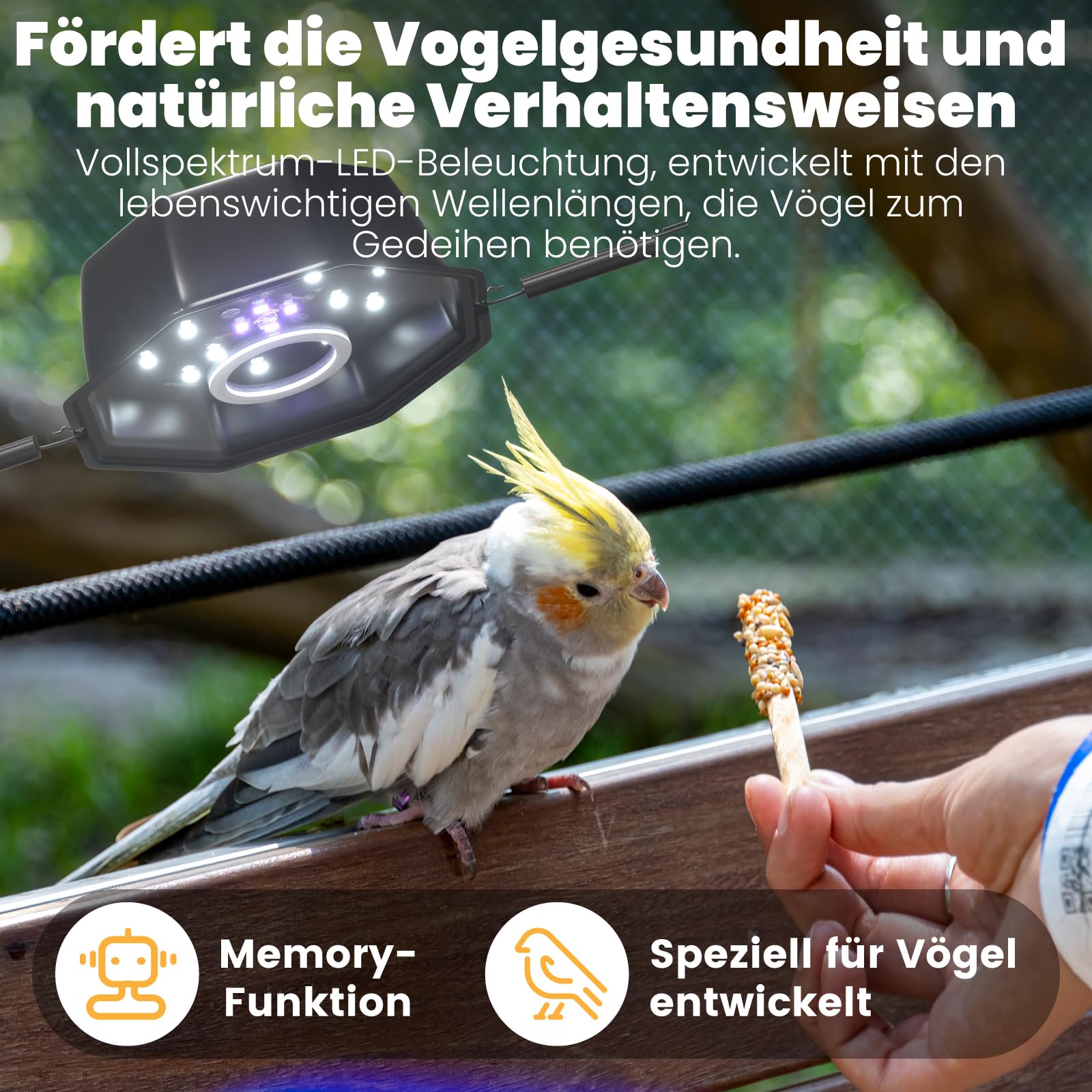 GlowUp UVB 2.4 Vogellampe 10W, Vollspektrum LED Licht für Vögel mit Kausicherem Kabel, Oktopus-förmiges, Dimmbares Vogelkäfiglicht mit EU-Stecker und Controller für Papageien, Nymphensittiche