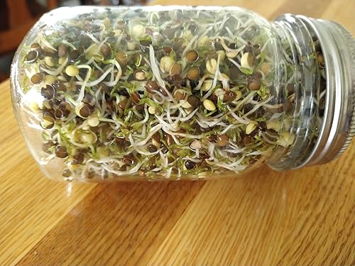 Miniatura 2 de Lentejas Beluga negras de 5 libras enteras certificadas por USDA, orgánicas sin OMG, a granel, producto de EE. UU. Mulberry Lane Farms