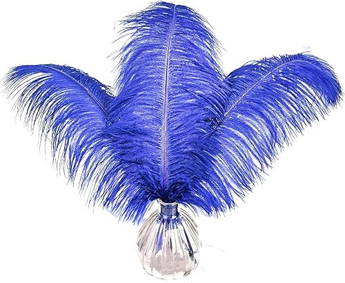 Miniatura 21 de Happy Feather - Plumas de avestruz negras de 16-18 pulgadas para manualidades, centros de mesa de bodas, decoración del hogar, paquete de 10 16-18