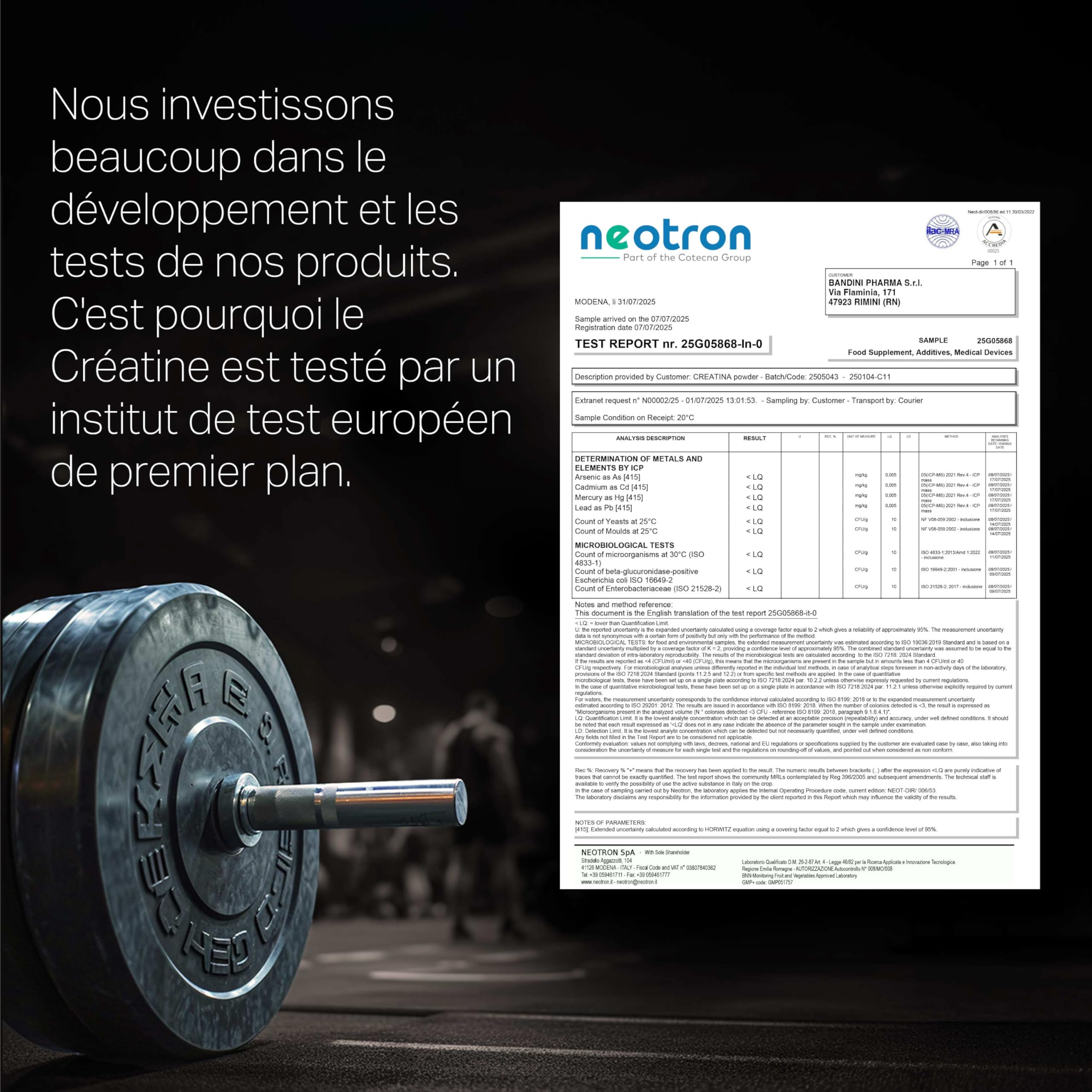 Bandini® Créatine Creapure® Monohydrate en Poudre | Pure Creatine Powder | Prise de Masse Musculaire et Force | Supplément pour l'Entraînement et la Musculation | Pour l'ATP et la récupération