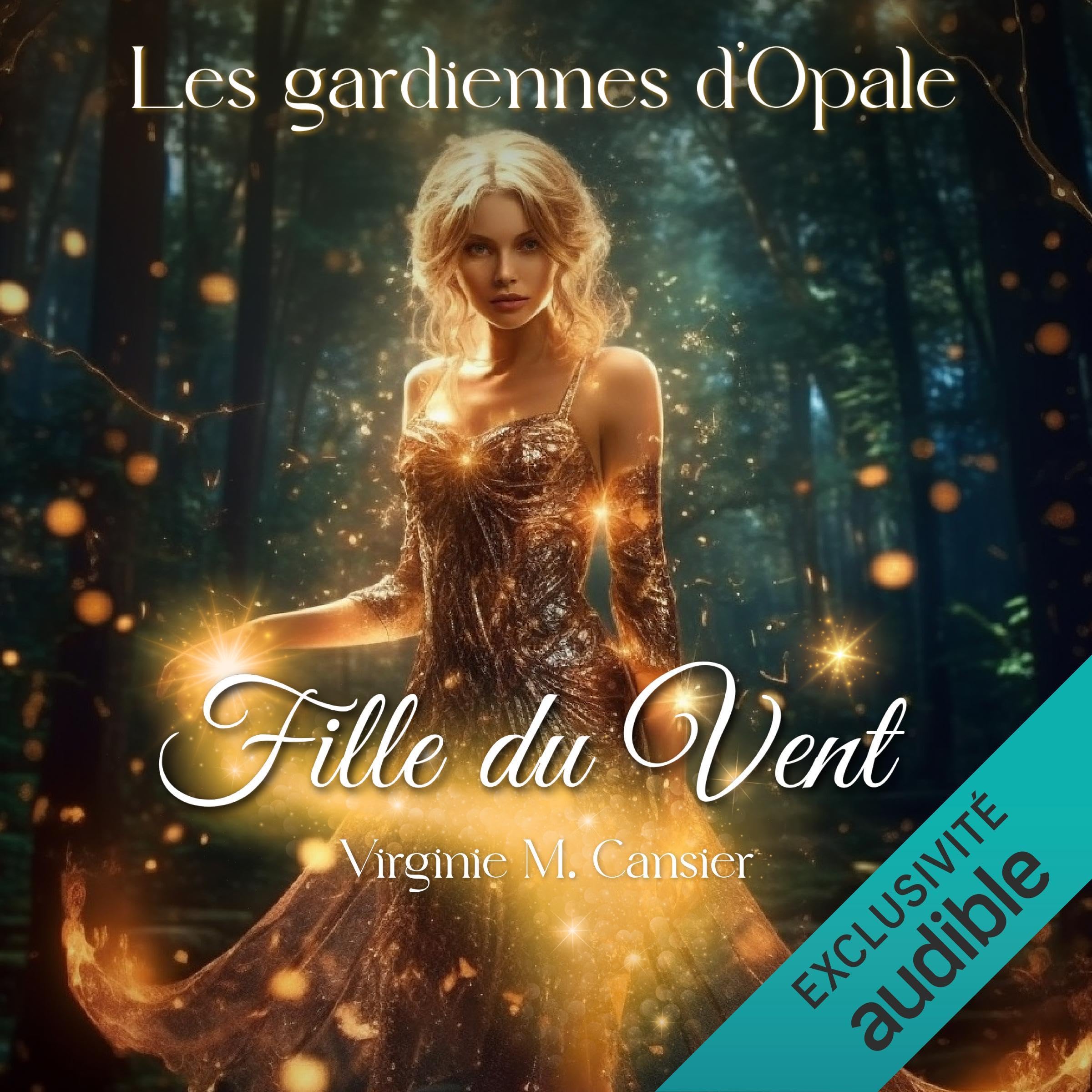 Cover art for Fille du vent