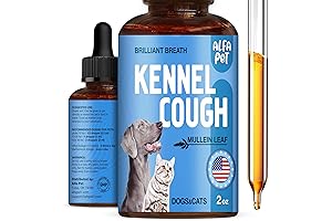 Cough Relief for Cats and Dogs