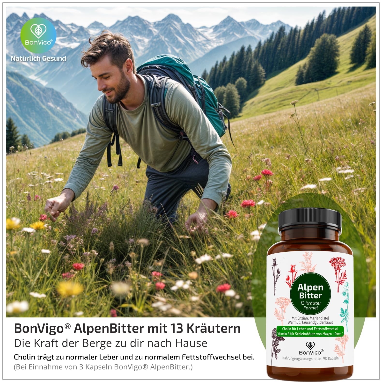 AlpenBitter 3 Monate - 13 Kräuter Bitterstoffe Formel mit Mariendistel, Enzian, Wermut & Löwenzahn – Cholin unterstützt Leberfunktion & Fettstoffwechsel – Nach altem Klosterrezept (3)