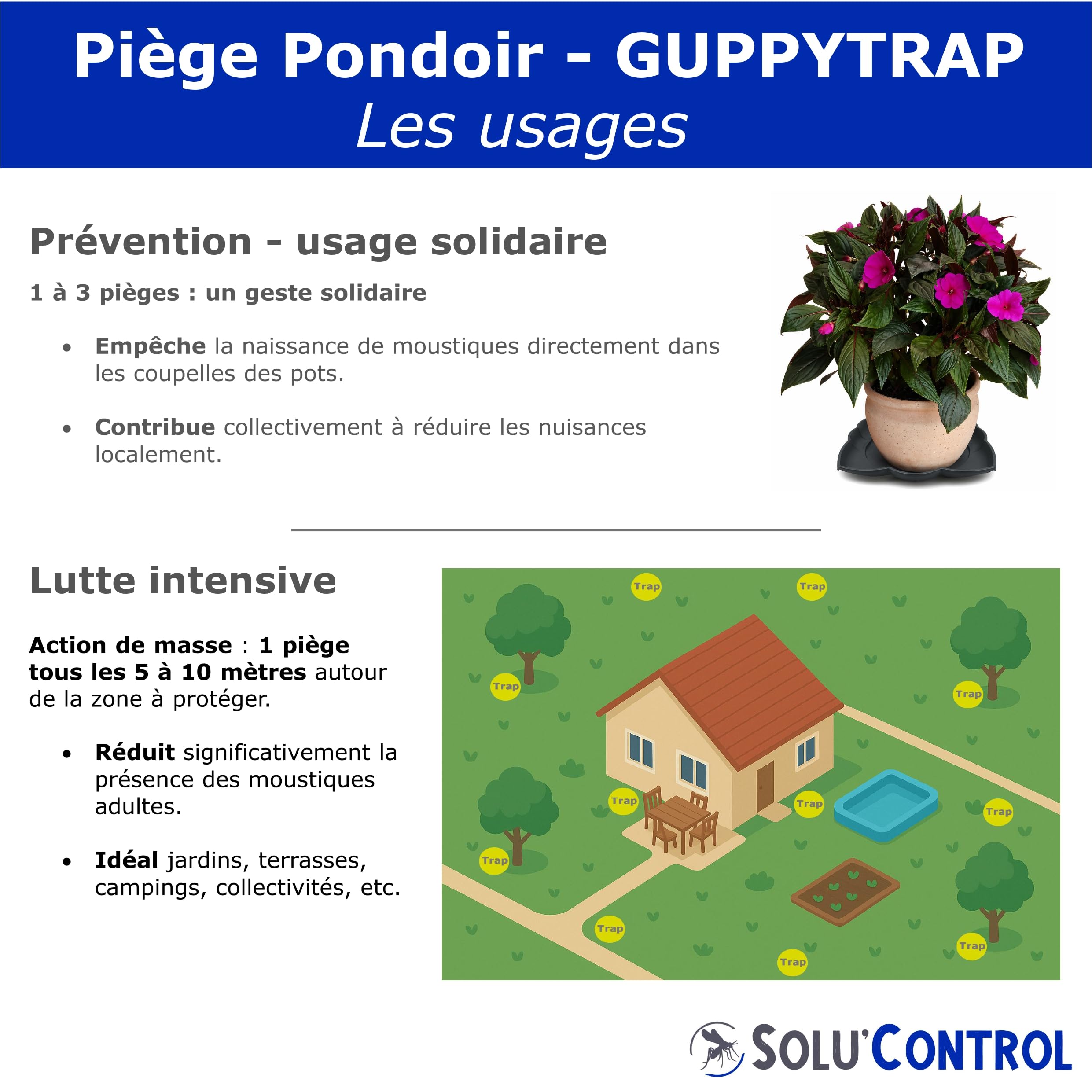 2 Guppy Trap + 2 coupelles, Piège Pondoir à Moustiques Écologique, sans Insecticide, sans Adhésif, Médaille d'argent Concours Lépine 2023, Fabriqué en France
