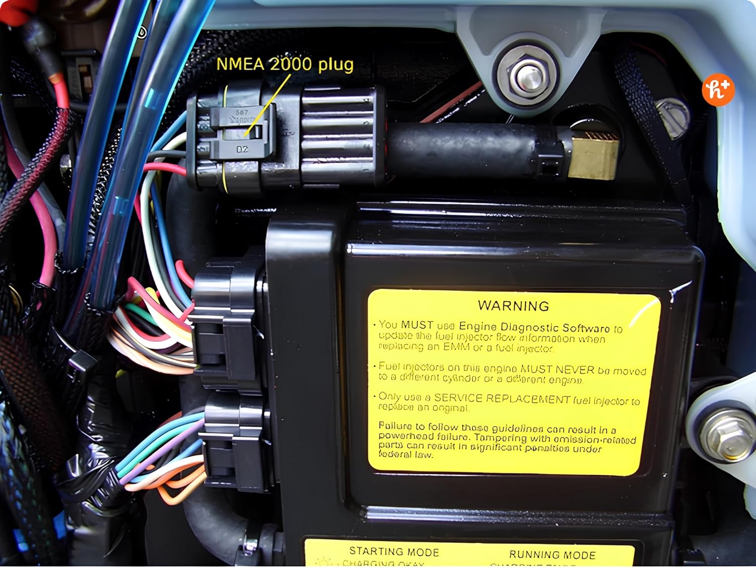 NMEA 2000 (N2k) 4-Meter (13 feet) Engine Interface Cable for Evinrude Outboard with Included Tee Connector, for Lowrance Simrad B&G Navico & Garmin Networks