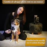 Ver la foto 6