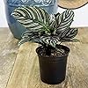 Product Photo 10
