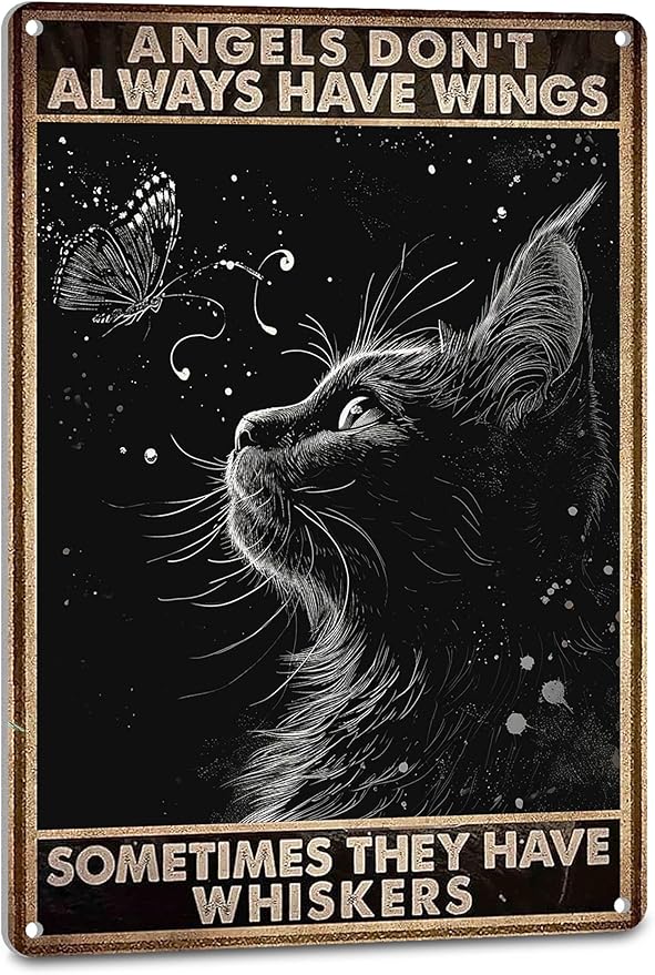 Tony Ramos Reflects on Career, Life's Finitude, and Affection in "Mirror – 20 Years Later 6 81pmGU7XrGL. AC SY879 Black Cat Decor Cat Signs Vintage Cat Room Wall Black Art Decor Tin Poster - Angels Dont Always Have Wings Sometimes They Have Whiskers, 8X12 Inches