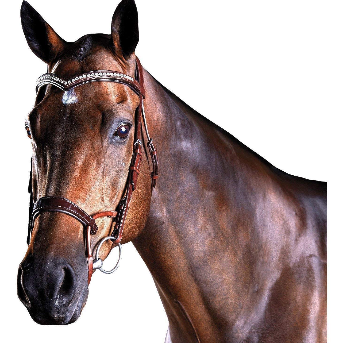 Collegiate ComFiTec Patent Bridle, Brown, Warmblood