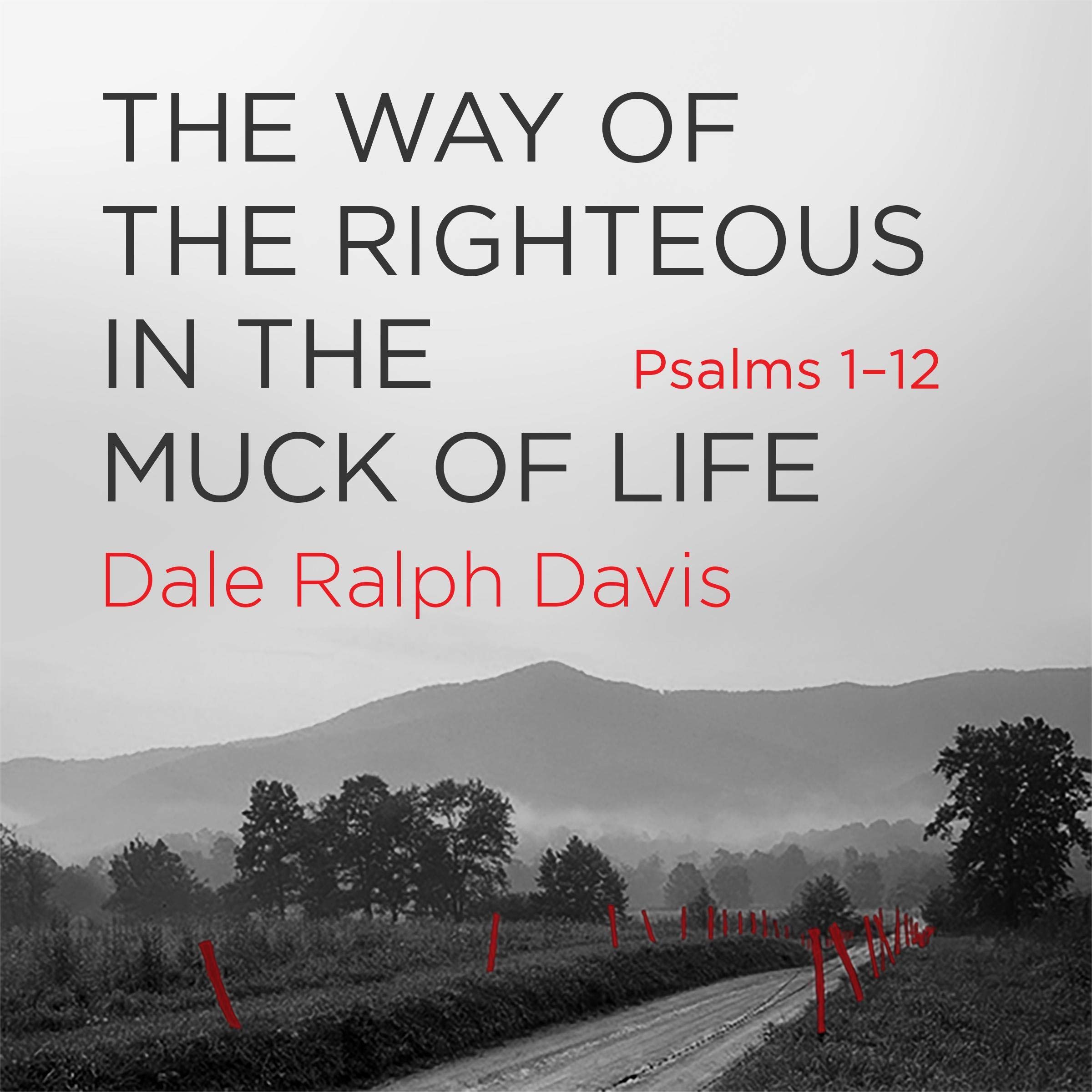 Way of the Righteous in the Muck of Life