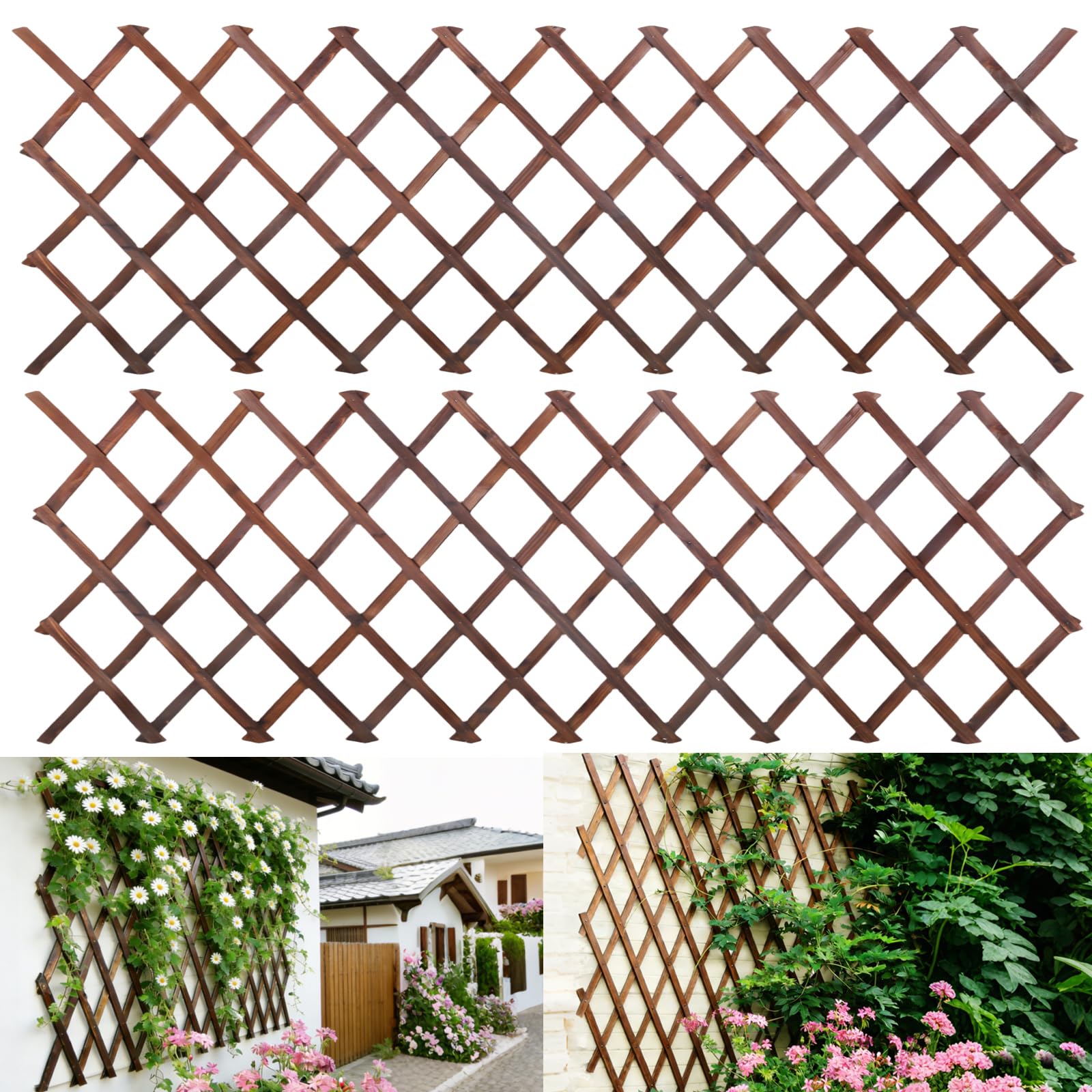 Bounmer Expandable Trellis