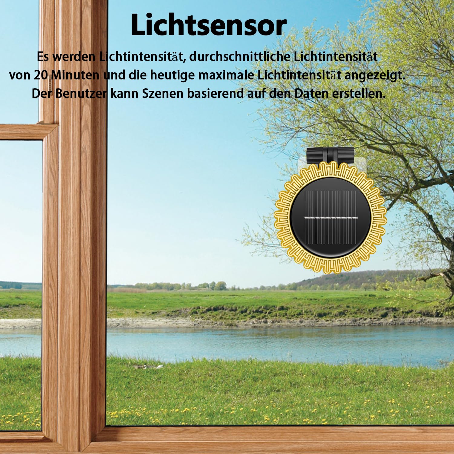 Haozee Smart Tuya Zigbee, sensore di pioggia e luce, a energia solare, richiede TUYA HUB, supporta Zigbee2mqtt Home Assistant, IPX6 impermeabile