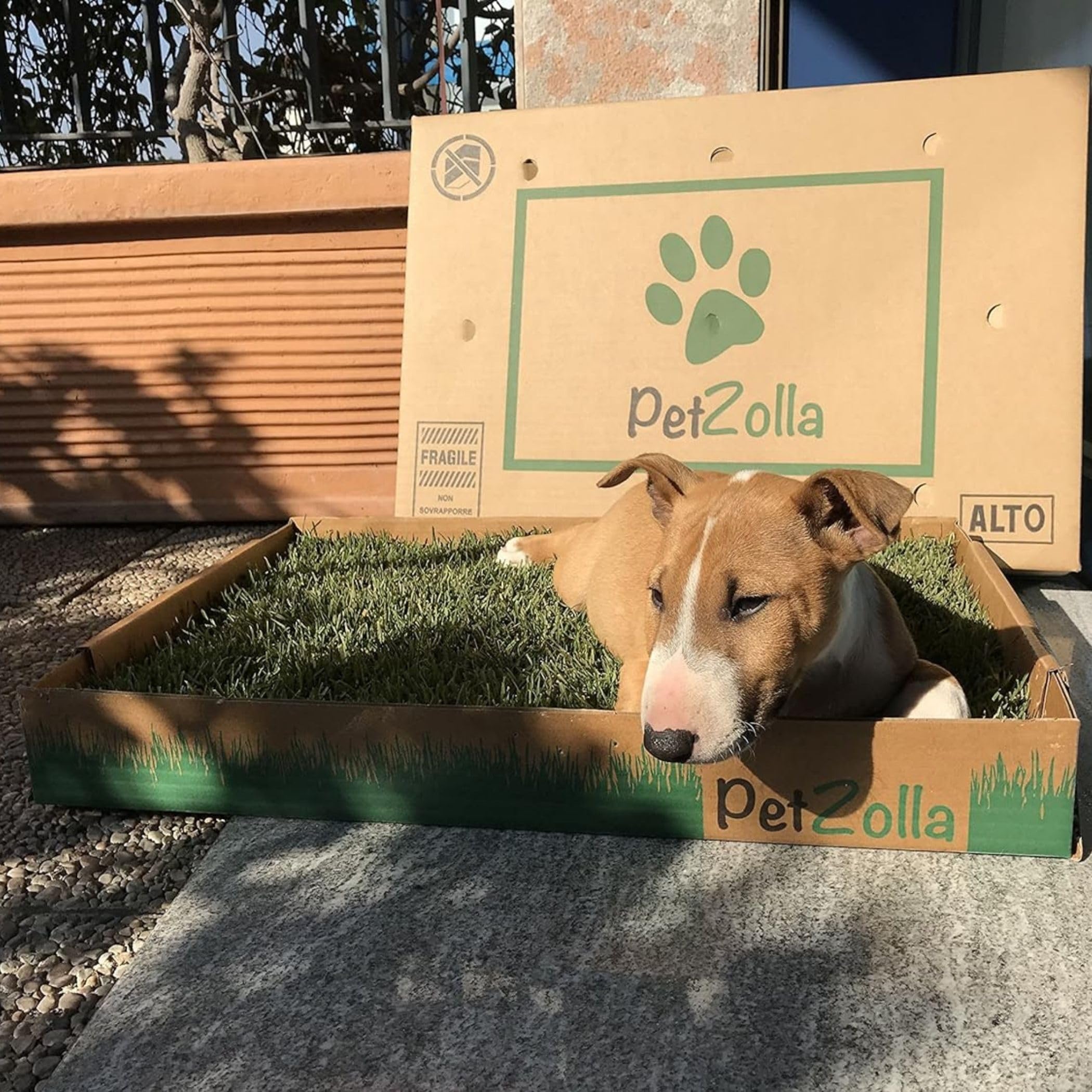 Petzolla – Cama para animales ecológica de césped real
