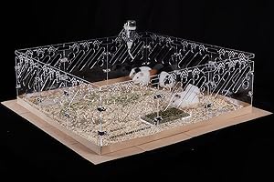Acrylic Guinea Loft Cages