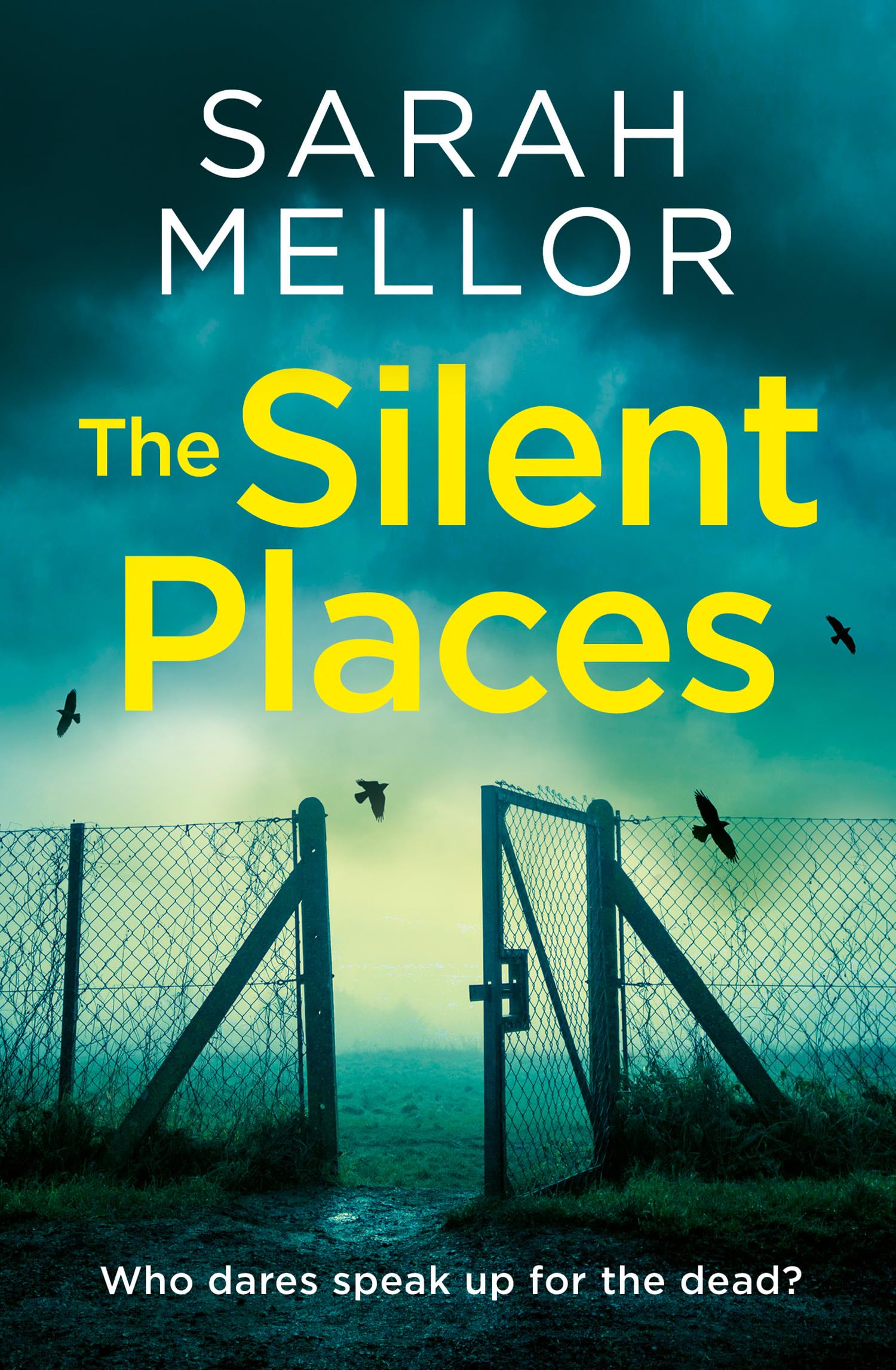 The Silent Places: A Liverpool set crime thriller with a twist – the most gripping novel you’ll read this year