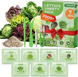 7000+ Organic Lettuce Seeds Collection - 7 Variety Heirloom Lettuce Mix Romaine, Iceberg Lettuce etc Non-GMO, Seeds for Planting Vegetable for Hydroponics or Garden (7 PCS)