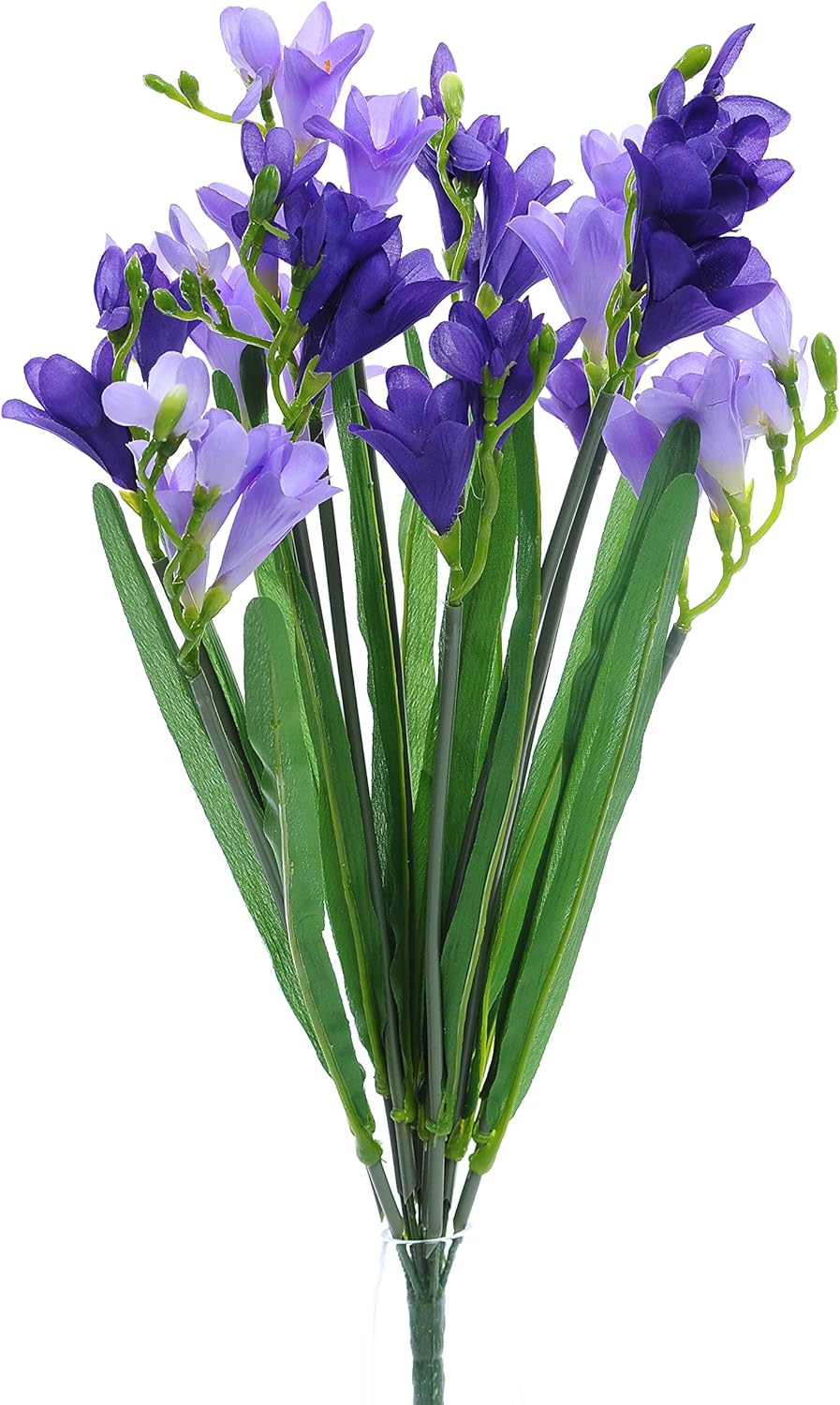 Country Baskets Freesia Bush with 12 Heads, Mixed Amazon.co.uk Home