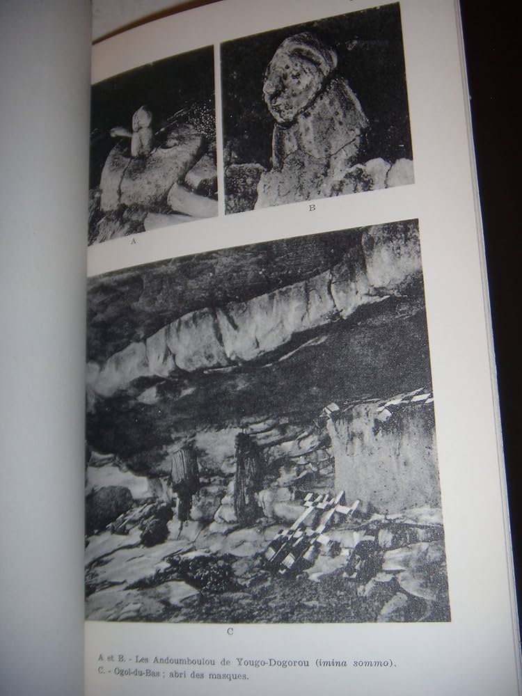 洋書 Masques Dogons Amazon.co.jp: Masques Dogons : 本