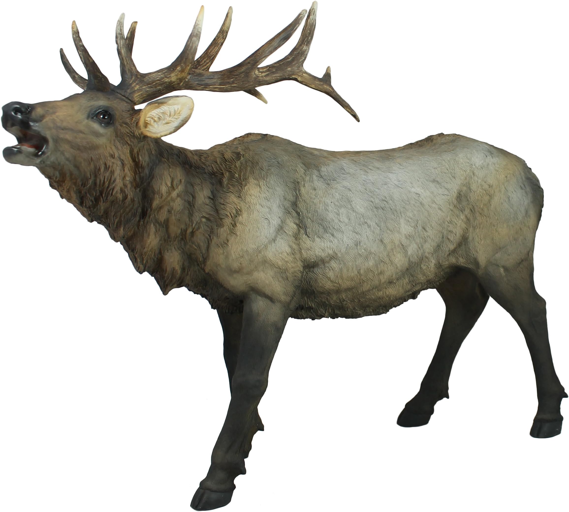 Waldemar a Stag Deer 10 Fixed Kapi Valley Red Deer (Cervus elaphus) Stag Standing Figurine Ornament