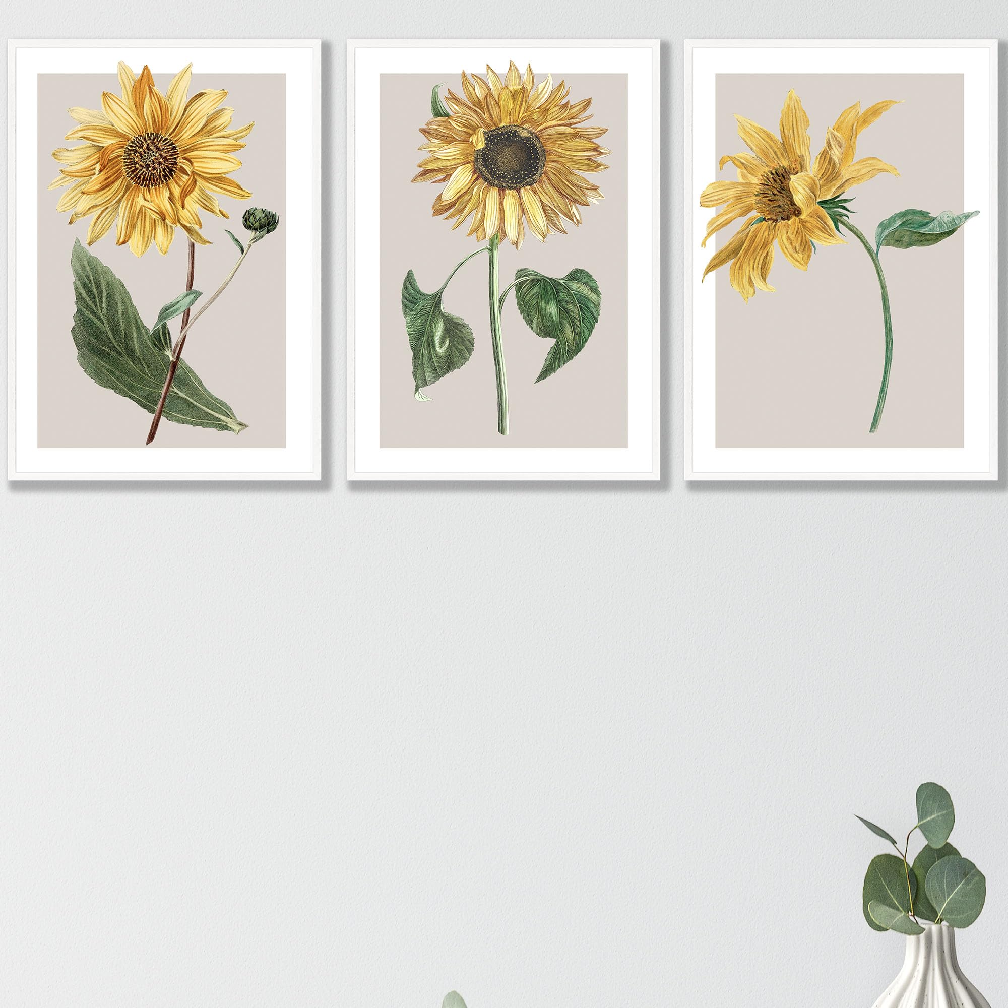 Artze Sunflower / Yellow Set Of 3 Vintage Sunflowers Wall Art Prints Only Size: (A4-21 X 29.7 Cm)