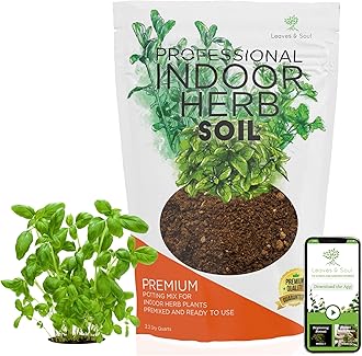 Professional Indoor Herb Plant Soil | Large 2.2 Quarts Ready to Use for Kitchen, Gardens, Cooking Herbs | Peat Moss, Coco Coir, Perlite, Dolomite | Made in USA