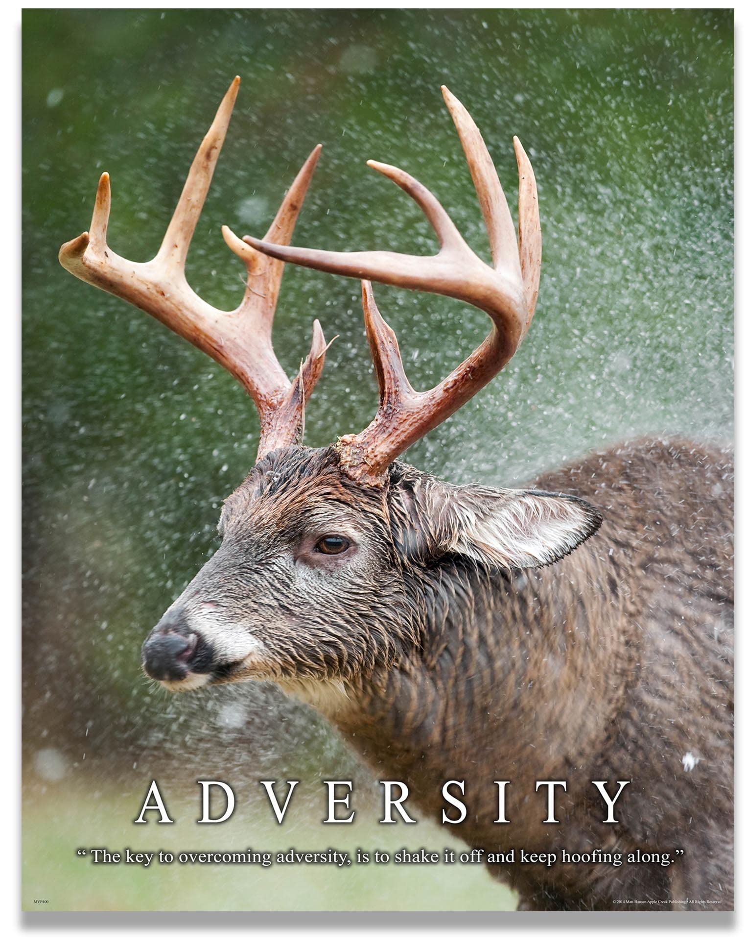 Amazon.com: Whitetail Deer Motivational Poster Art Print 11x14 Bow ...