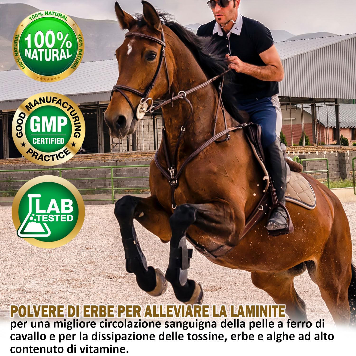 V-POINT REHE Plus per la prevenzione degli attacchi di laminite acuta favorisce la circolazione sanguigna nel corium dello zoccolo - con polvere di rosa canina cardo mariano spirulina (450g)