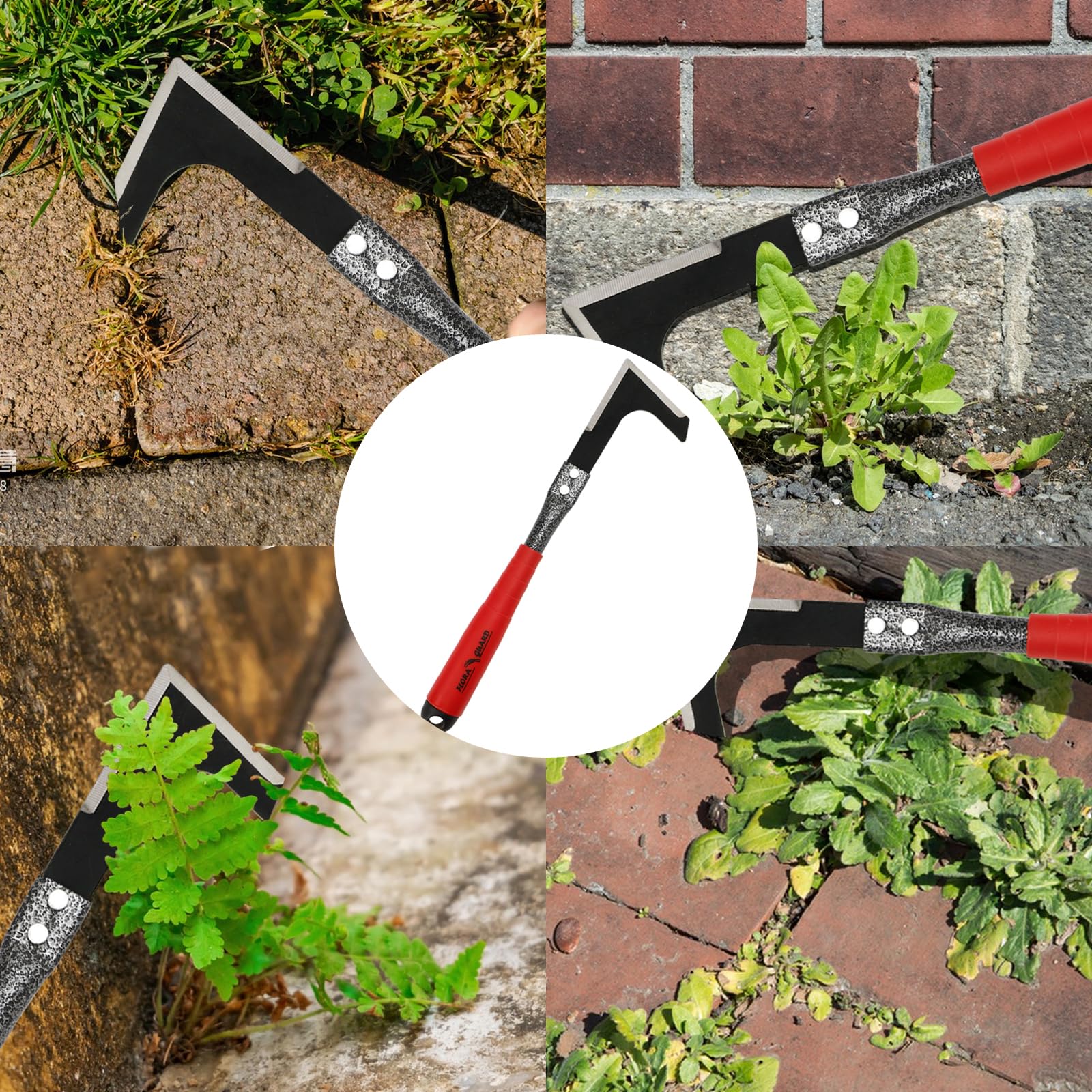 FLORA GUARD Estirpatore Erbacce Manuale, sarchiatore da Giardino per Rimuovere Muschio ed Erbacce, 32,5 cm, con Manico