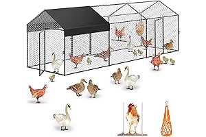 Spacious & Durable Metal Poultry Run for Your Feathered Friends