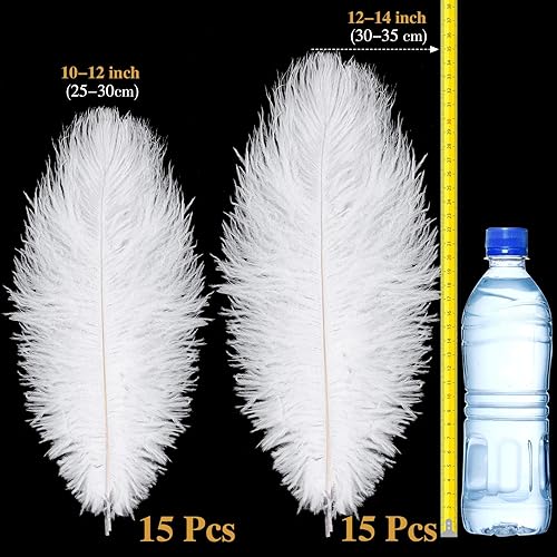 Miniatura 2 de Tigeen 30 plumas naturales de avestruz a granel de 10-12 pulgadas, 12-14 pulgadas para centros de mesa, bodas, fiestas, arreglos florales,