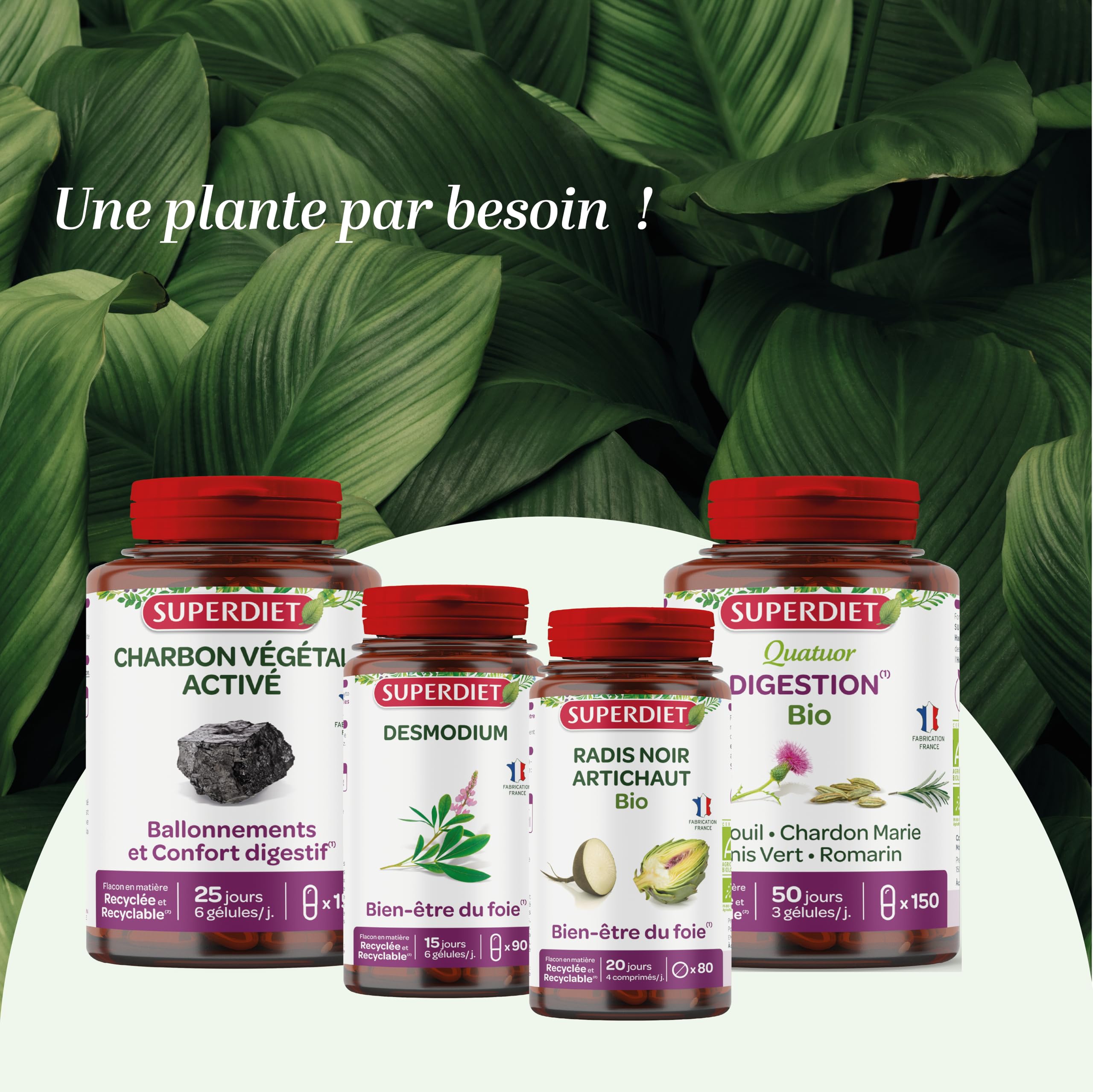 SUPERDIET - QUATUOR BALLONNEMENTS - Charbon végétal activé, Levure de bière, Propolis, Fenouil – Fabrication Française – 150 gélules