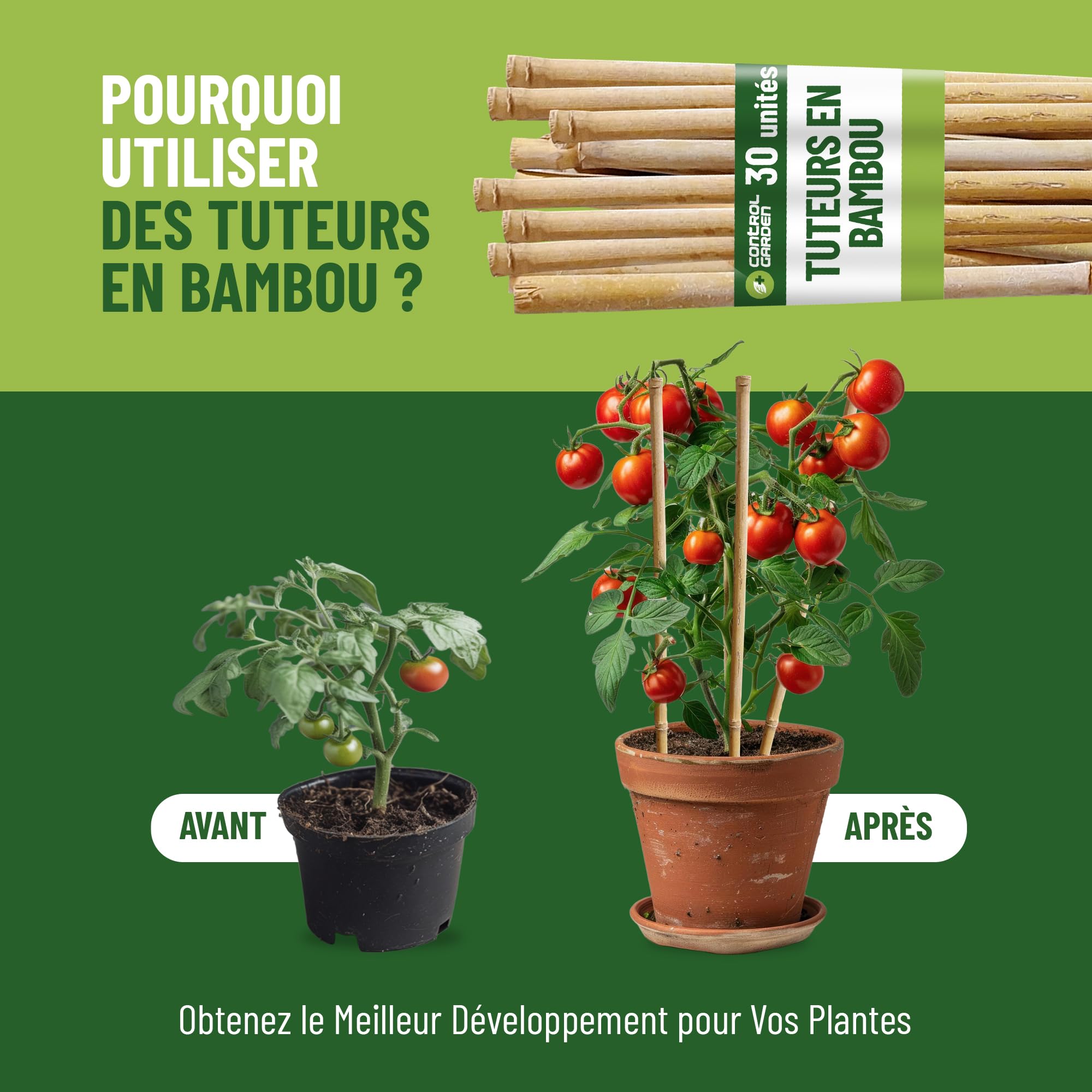 Control Garden Lot 30 Unités Tuteurs en Bambou Écologique 210 cm | Tiges Naturelles pour Plantes Ø 14-16 mm | Supports pour Arbres, Potagers, Plantes Grimpantes et Cultures