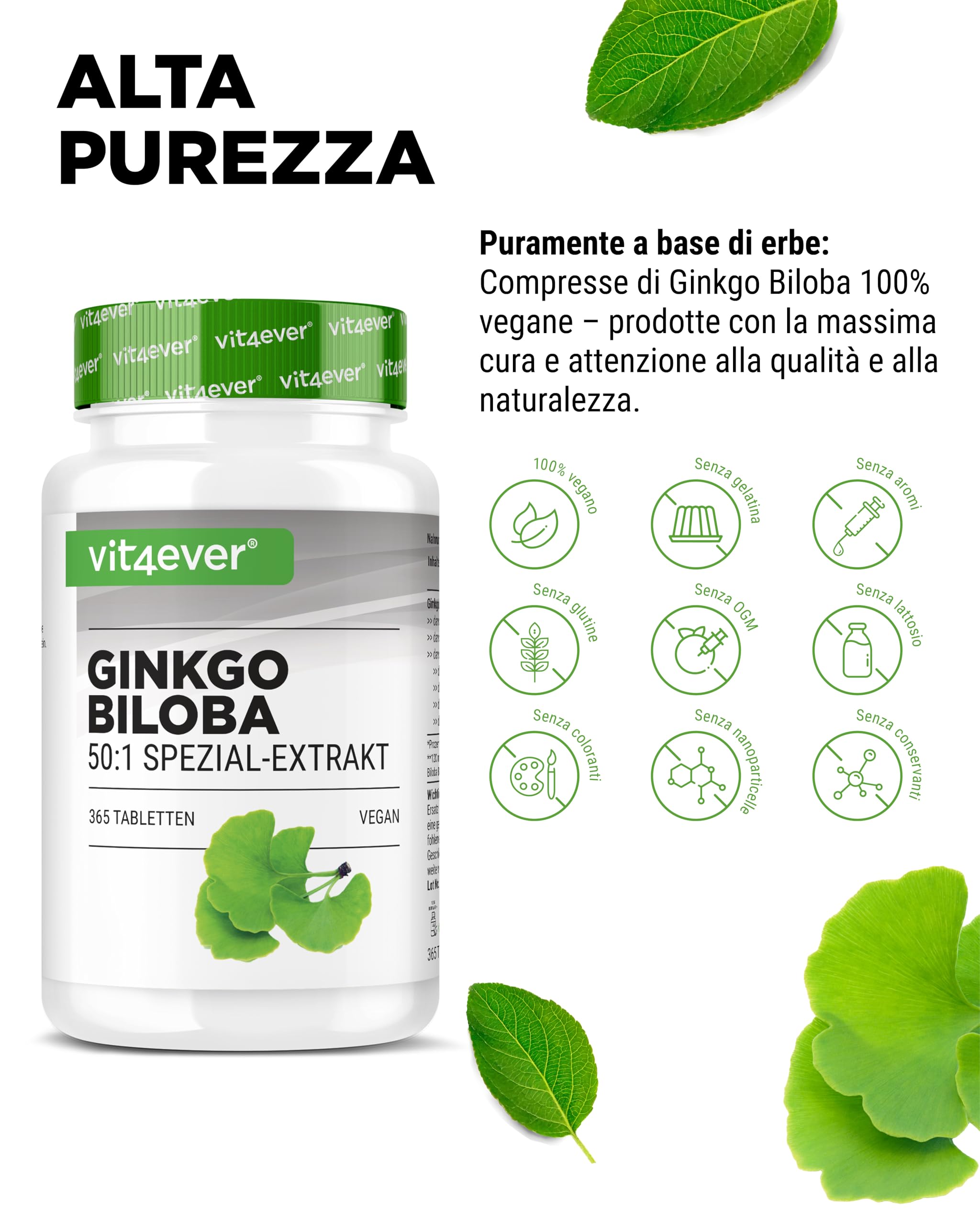 vit4ever Ginkgo Biloba 6000 mg - 365 Compresse – Estratto Premium: con Flavonglicosidi + Ginkgolidi-Lattoni Terpenici e privo di Acido Ginkgolico - Alto dosaggio – Vegano