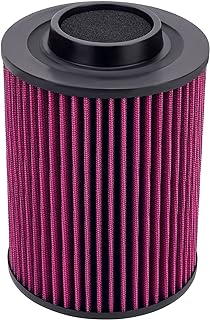 Road Passion 1240482 1240434 GI-125499 Air Filter Replacement For Polaris ATV RZR 800 EFI 2008-2013/ ATV RZR 800 EPS 2014/ ATV RZR S 2012/ ATV RZR S 800 2014