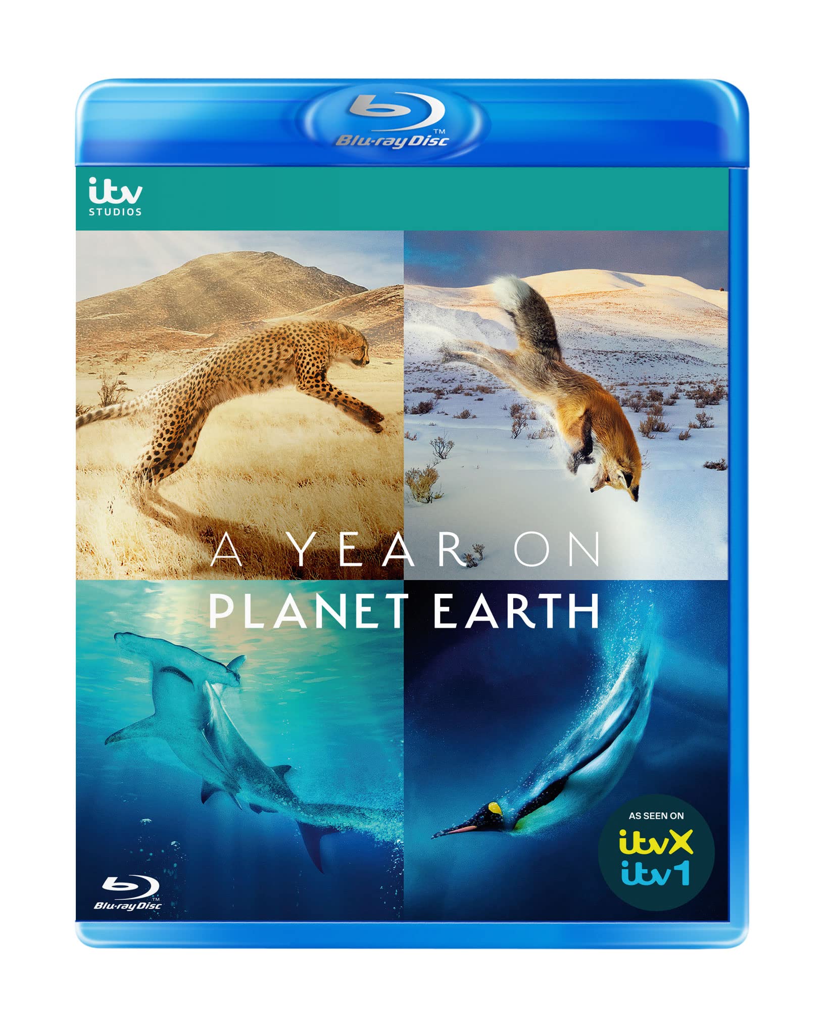 A Year on Planet Earth