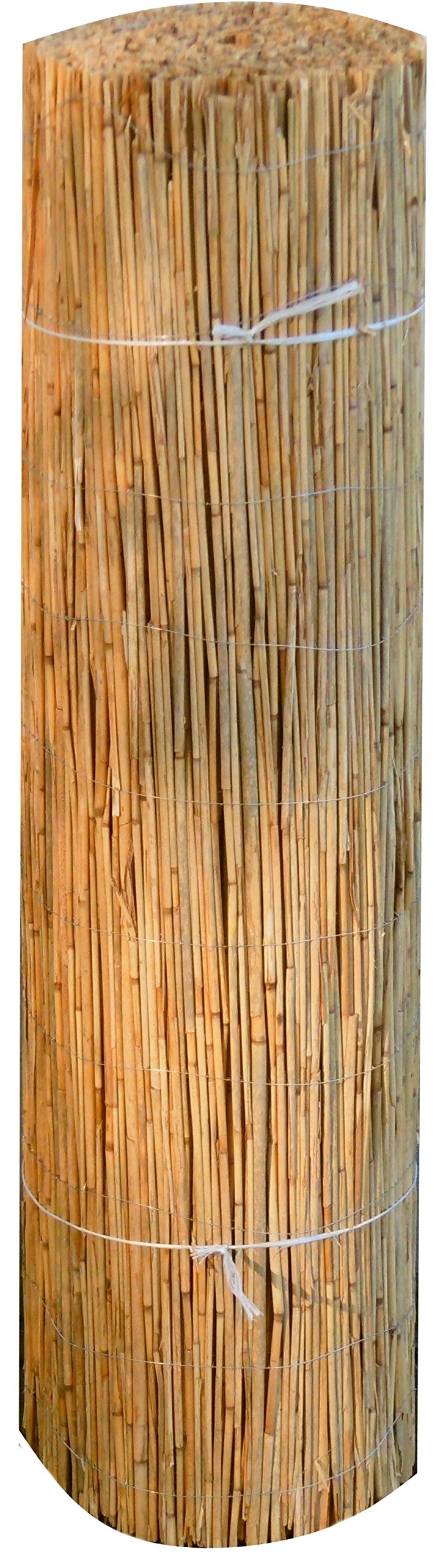 Rietplaat 2 Cm Dik met Stalendraad Gevlochten 200 x 200 Cm Kopen Hekken en Schut